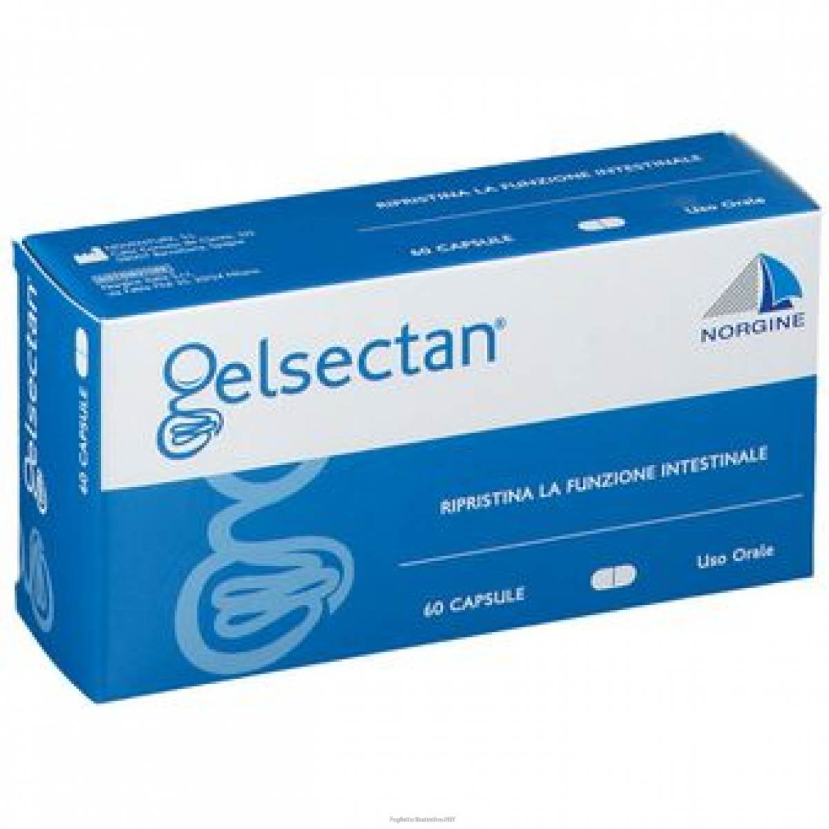 GELSECTAN 60 CAPSULE - Farma Nice