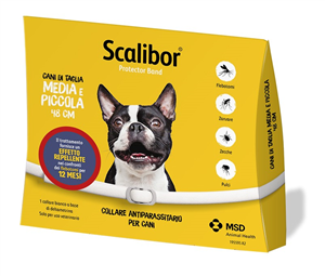SCALIBOR PROTECTOR BAND*BI48CM - Farma Nice