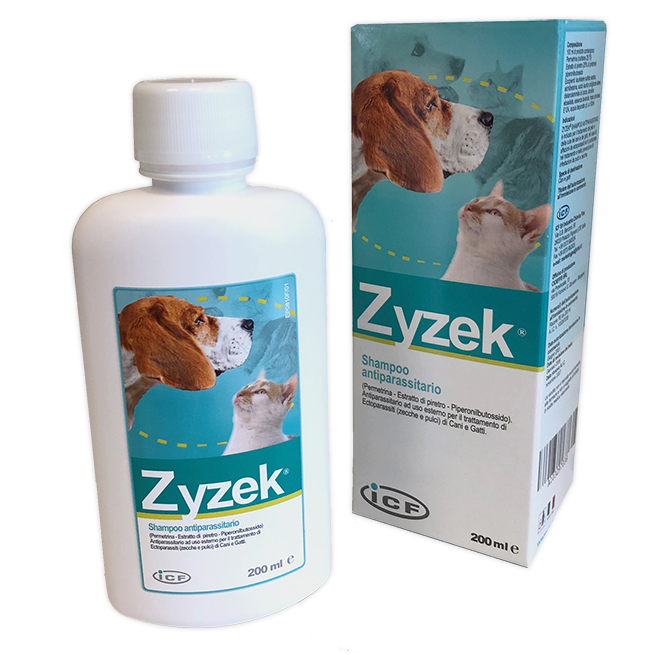 ZYZEK SHAMPOO ANT*FL PE 200ML - Farma Nice