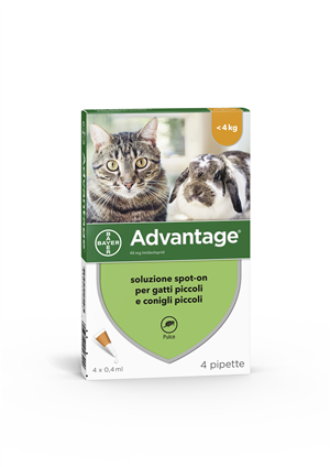 ADVANTAGE*4PIP 0,4ML SPOTON - Farma Nice