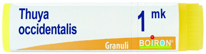 THUYA OCCIDENTALIS MK GLOBULI - Farma Nice