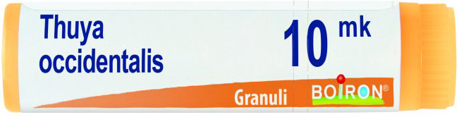 THUYA OCCIDENTALIS XMK GLOBULI - Farma Nice