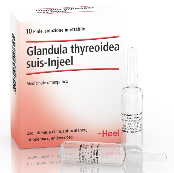 HEEL GLANDULA THYROIDEA SUIS INJEEL 10 FIALE - Farma Nice