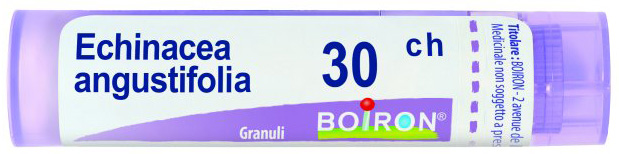 ECHINACEA ANGUSTIFOLIA 30 CH GRANULI - Farma Nice