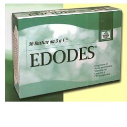 EDODES 16 BUSTINE - Farma Nice