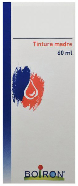 HYPERICUM PERFORATUM TINTURA MADRE 60 ML - Farma Nice