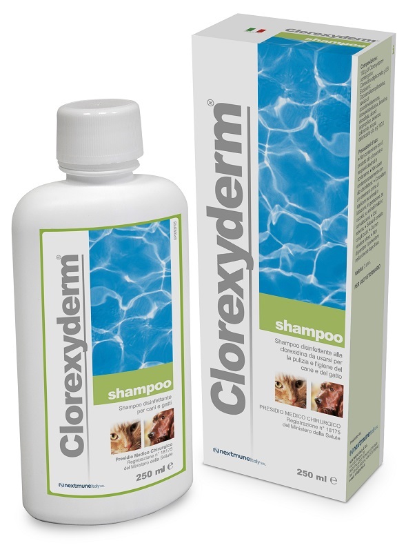 CLOREXYDERM SHAMPOO 250 ML - Farma Nice