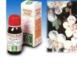 BIANCOSPINO 10 50ML TM - Farma Nice