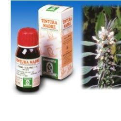 CARDIACA 16 50ML TM - Farma Nice