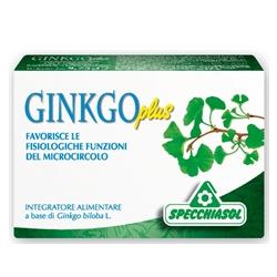 GINKGO PLUS 30 CAPSULE - Farma Nice