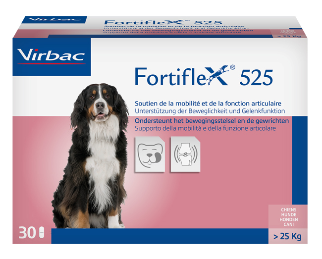 FORTIFLEX 525 MG 30 COMPRESSE APPETIBILI - Farma Nice