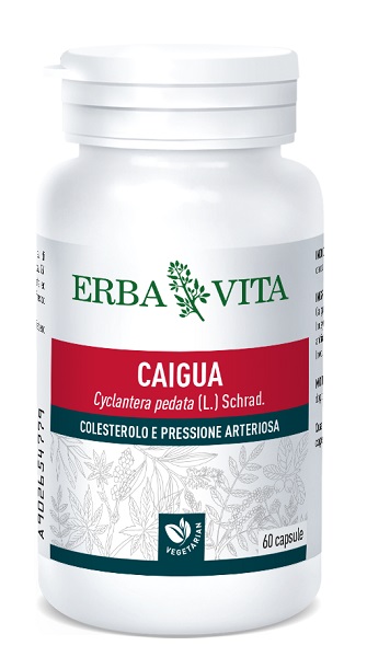 CAIGUA 60 CAPSULE 400 MG - Farma Nice