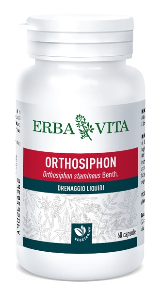 ORTOSIPHON 60 CAPSULE 400 MG - Farma Nice