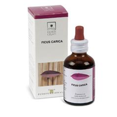 FICUS CARICA 50ML STV - Farma Nice