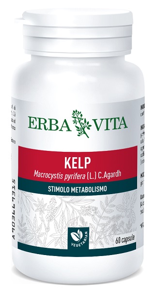 KELP 60 CAPSULE 500 MG - Farma Nice