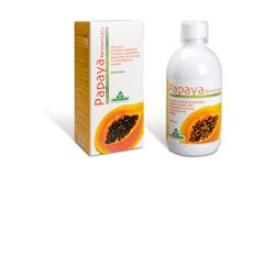 PAPAYA FERMENTATA 500 ML - Farma Nice