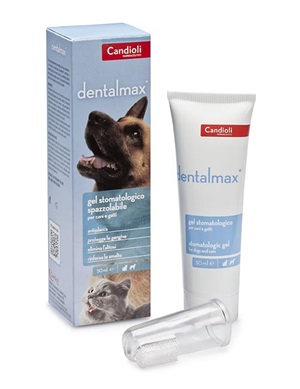DENTALMAX GEL STOMATOLOGICO 50 ML - Farma Nice