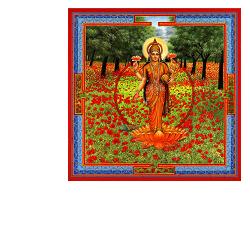 TRIPHAURUM GOCCE 30 ML - Farma Nice