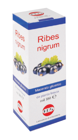 RIBES NIGRUM MG 100 ML GOCCE - Farma Nice