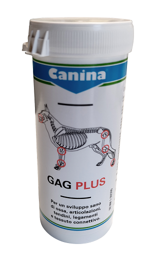 GAG PLUS 100 G 60 TAVOLETTE - Farma Nice