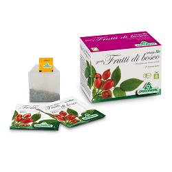 INFUSO BIO FRUTTA FRUTTI DI BOSCO 20 FILTRI - Farma Nice