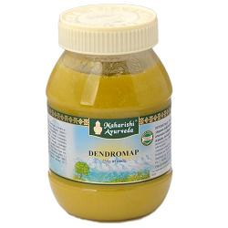 DENDROMAP PASTA 250 G - Farma Nice