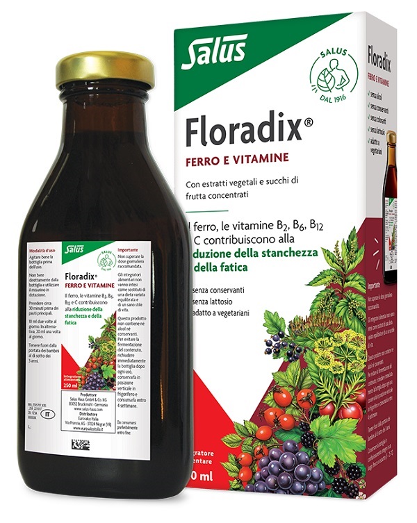FLORADIX FERRO E VITAMINE 250 ML - Farma Nice