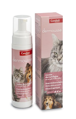 DERMOUSSE MOUSSE FLACONE 200 ML - Farma Nice