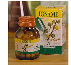 IGNAME ERBE 60TAV - Farma Nice