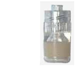 TAPPO STERILE PERFORATO LUER - Farma Nice