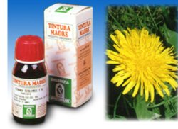 TARASSACO 28 50ML TM - Farma Nice