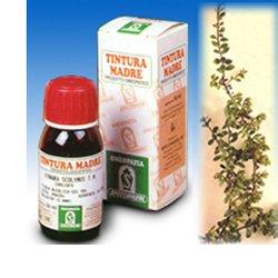 UVA URSINA 30 50ML TM - Farma Nice