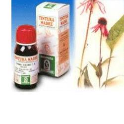 ECHINACEA 59 50ML TM - Farma Nice