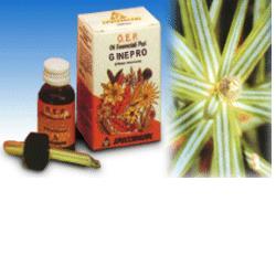 GINEPRO OLIO ESSENZIALE PURO 10 ML - Farma Nice