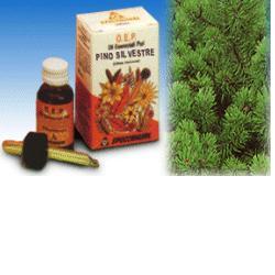 PINO SILVESTRE OLIO ESSENZIALE PURO 10 ML - Farma Nice