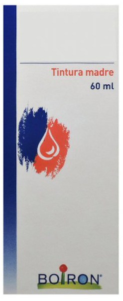 THUYA OCCIDENTALIS TINTURA MADRE 60 ML - Farma Nice