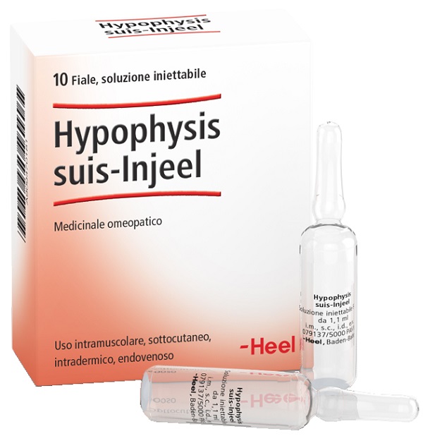 HEEL HYPOPHYSIS SUIS INJEEL 10 FIALE - Farma Nice