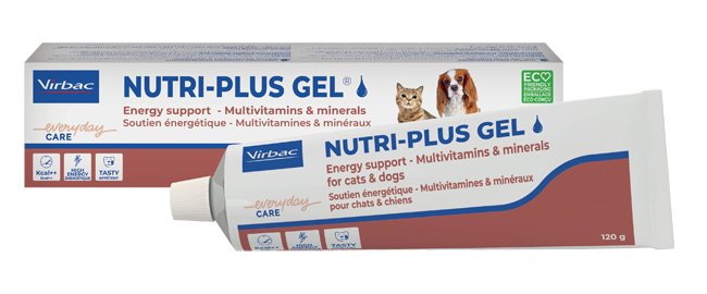 NUTRIPLUS GEL PASTA ORALE 120 G - Farma Nice