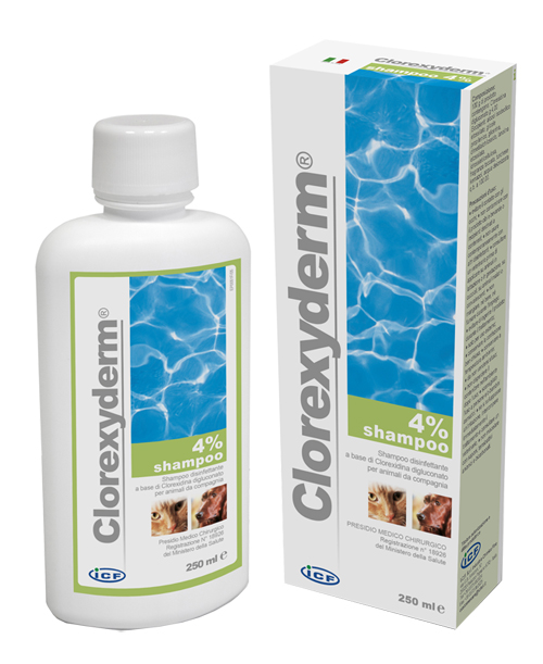 CLOREXYDERM SHAMPOO 4% 250 ML - Farma Nice