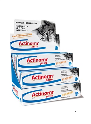 ACTINORM PASTA GATTI 65 G - Farma Nice