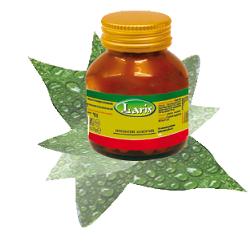 OLIO DI BORRAGINE 50 PERLE - Farma Nice