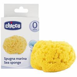 CHICCO SPUGNA MARE PICCOLA - Farma Nice