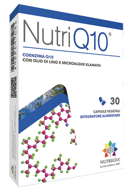 NUTRIQ10 30 CAPSULE - Farma Nice
