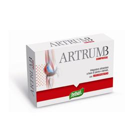 ARTRUM B CON MANGOSTANO 48 COMPRESSE 31 G - Farma Nice