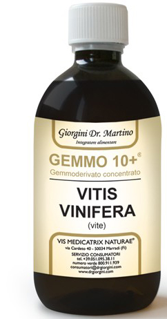 GEMMO 10+ VITE LIQUIDO ANALCOLICO 100 ML - Farma Nice