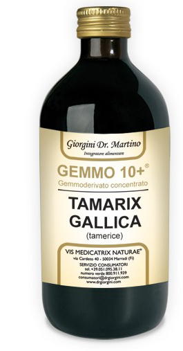 GEMMO 10+ GEMMODERIVATO CONCENTRATO LIQUIDO ANALCOLICO TAMARIX GALLICA TAMERICE 500 ML - Farma Nice