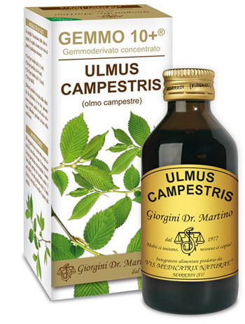 GEMMO 10+ OLMO CAMPESTRE 100 ML LIQUIDO ANALCOLICO - Farma Nice