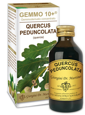 GEMMO 10+ QUERCIA 100 ML LIQUIDO ANALCOLICO - Farma Nice