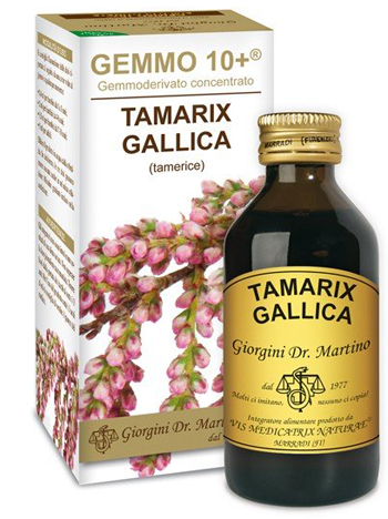 GEMMO 10+ TAMERICE 100 ML LIQUIDO ANALCOLICO - Farma Nice