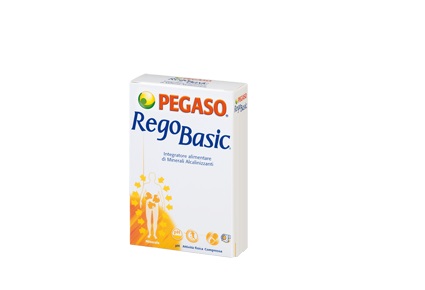 REGOBASIC 12 BUSTINE POLVERE - Farma Nice